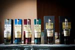 WhiskyFest_2014_265