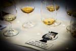 WhiskyFest_2014_271