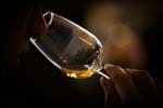 WhiskyFest_2014_300