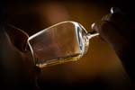 WhiskyFest_2014_301