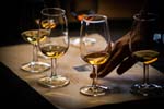 WhiskyFest_2014_437