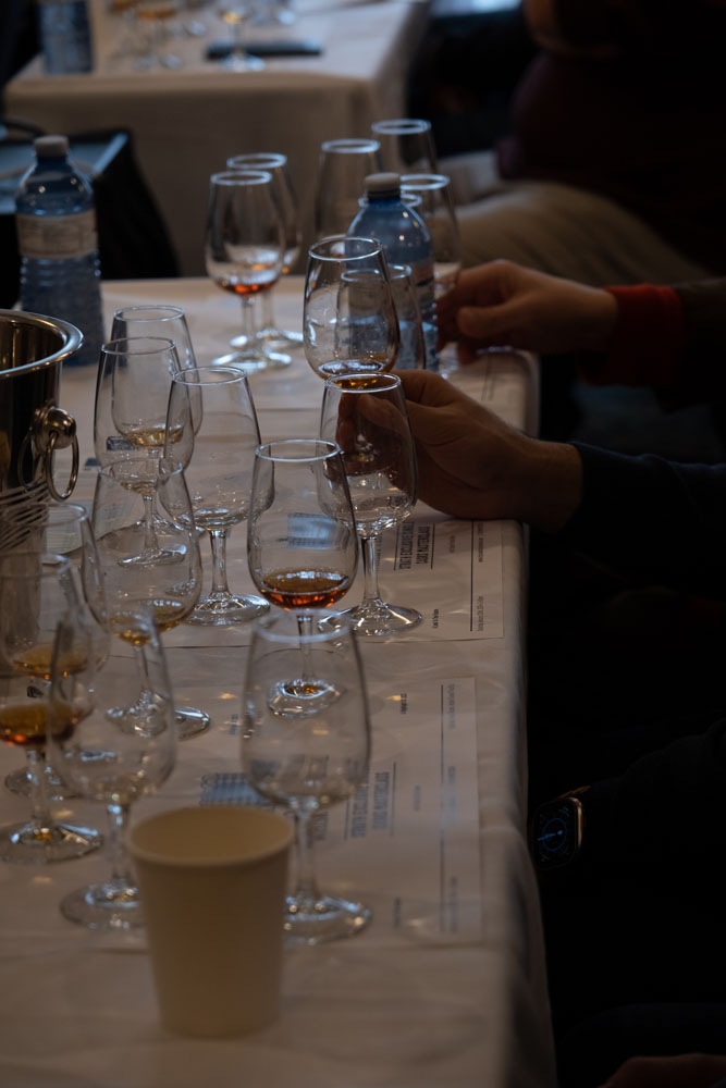 VWF-SAT-DAY165.jpg